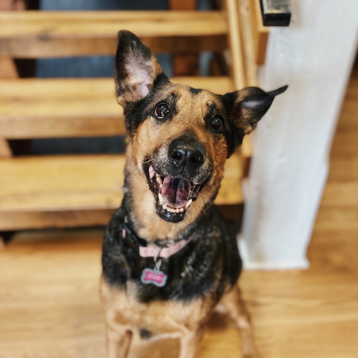 headshot of Zoe looking at camera