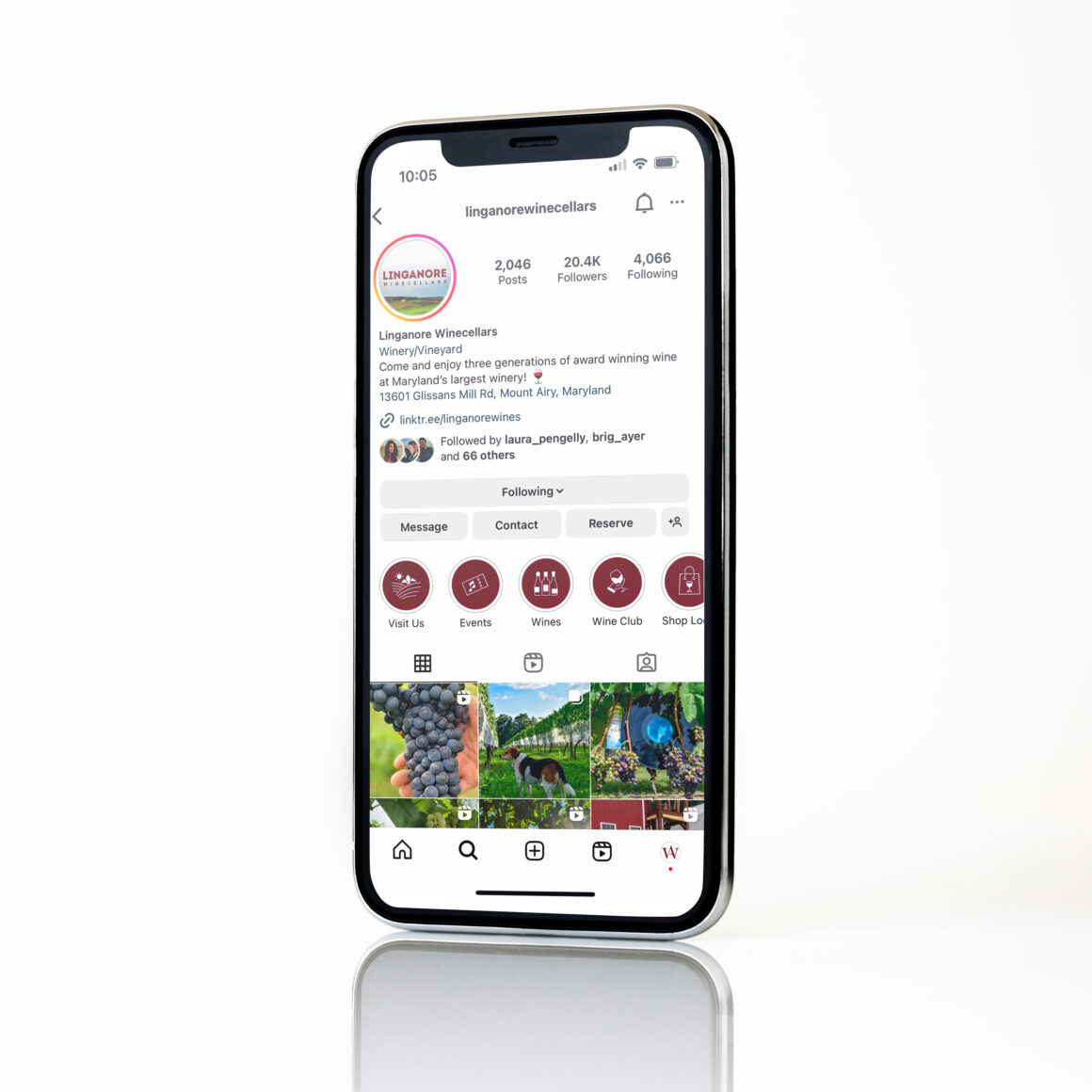 iPhone mockup showcasing Linganore Winecellars Instagram profile