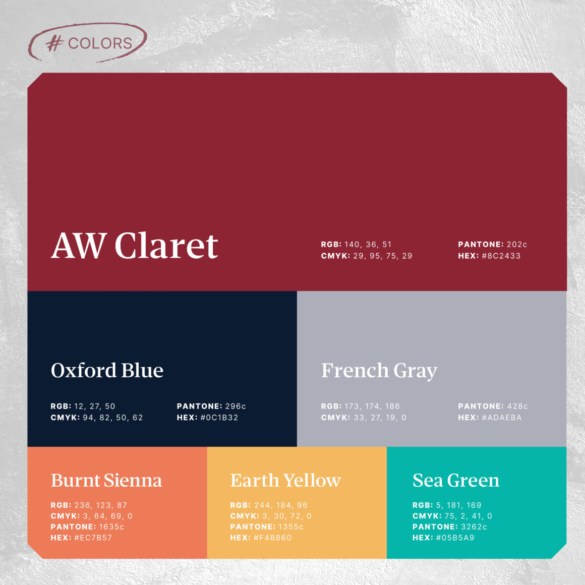 graphic depicting ArachnidWork's new brand refresh colors